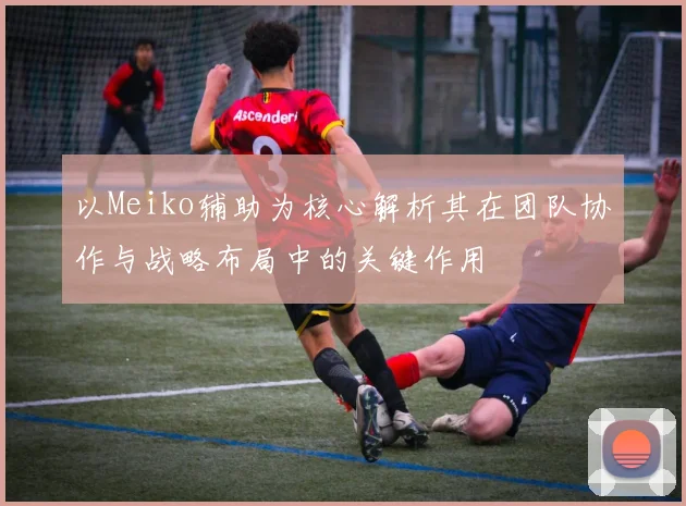 以Meiko辅助为核心解析其在团队协作与战略布局中的关键作用