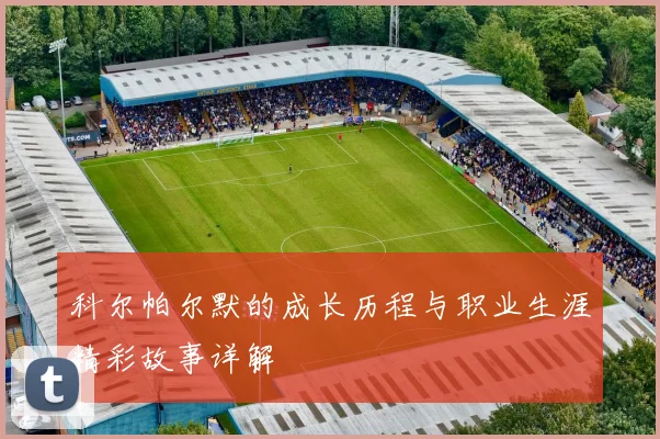 科尔帕尔默的成长历程与职业生涯精彩故事详解